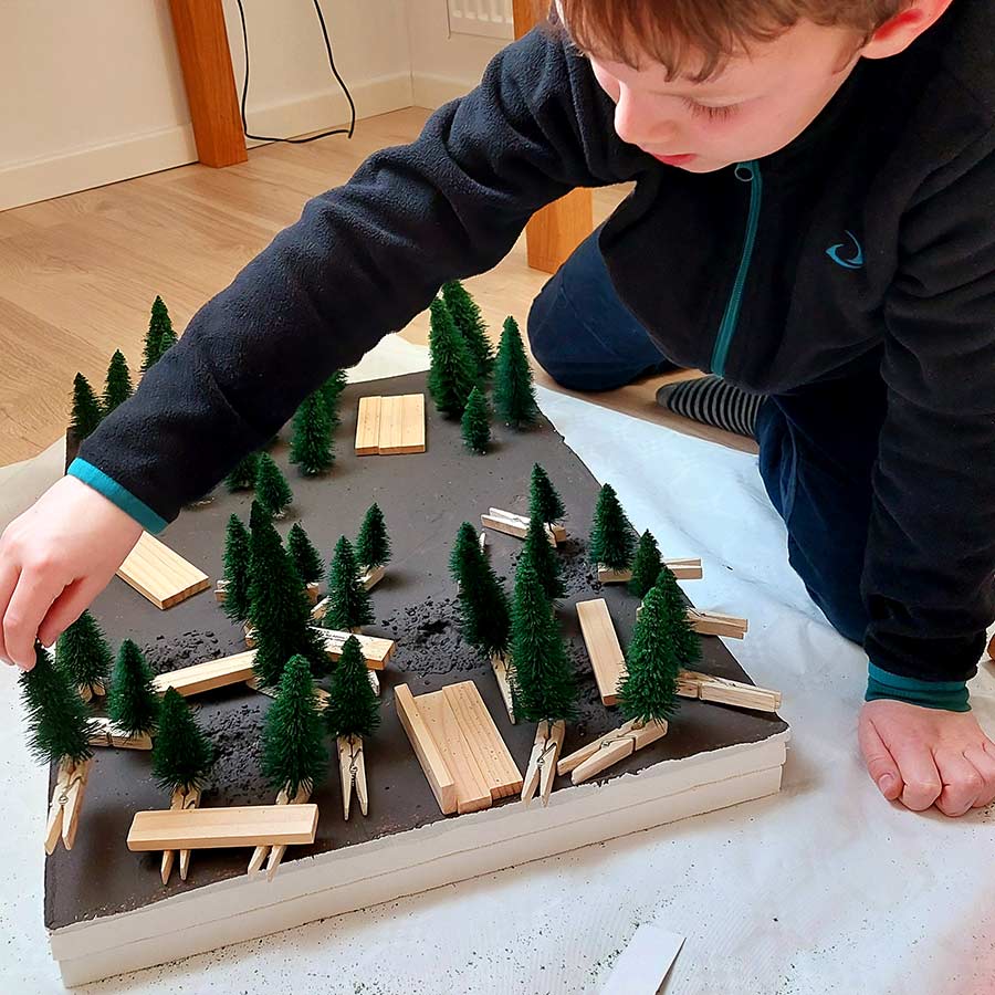 Recherche de placement des sapins